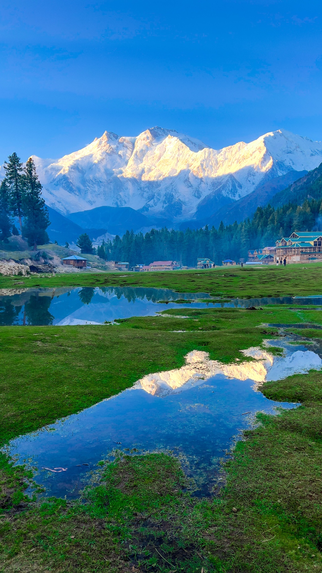 Fairy Meadows