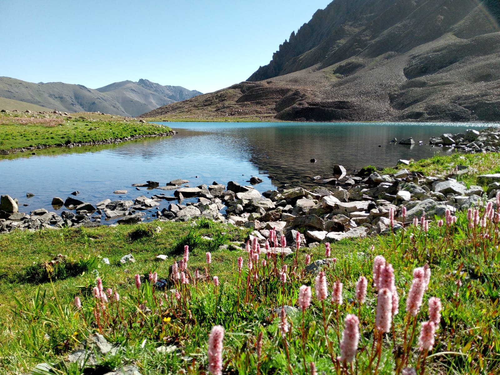 Deosai, Shila & Thalay Pass Trek